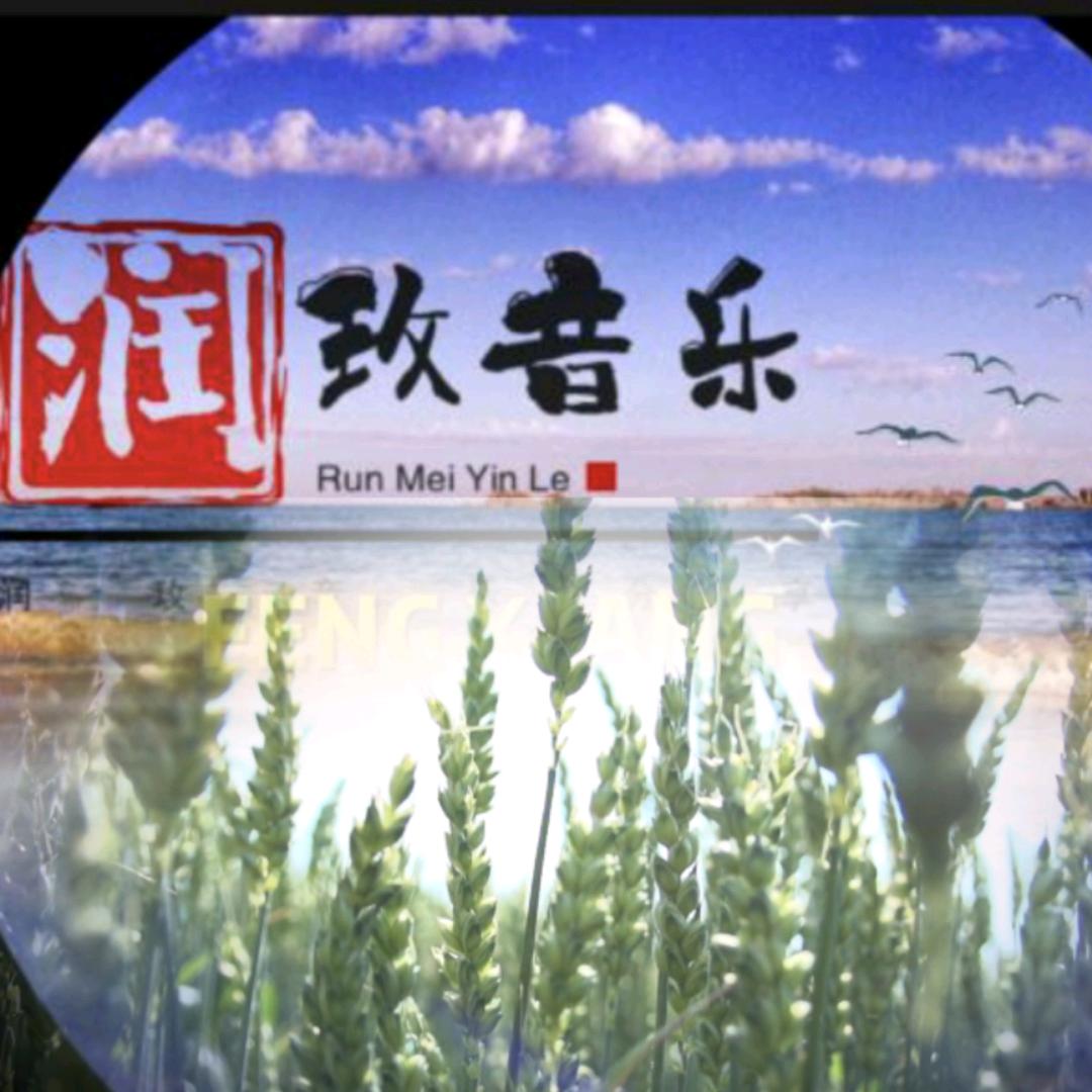 润玫五音健康养生