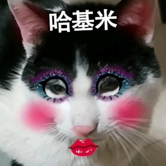 拾起心，慢步走