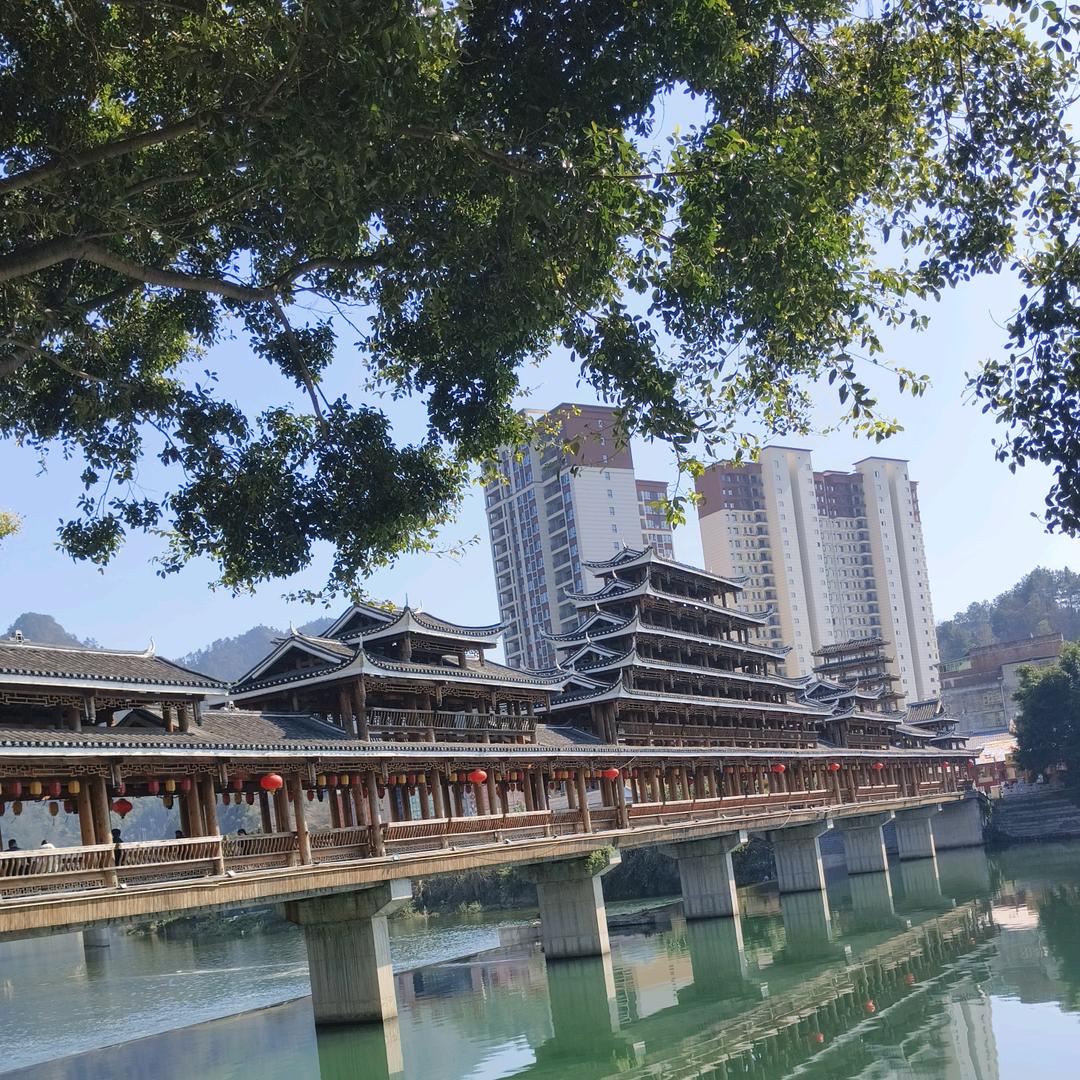 🫧潘潘