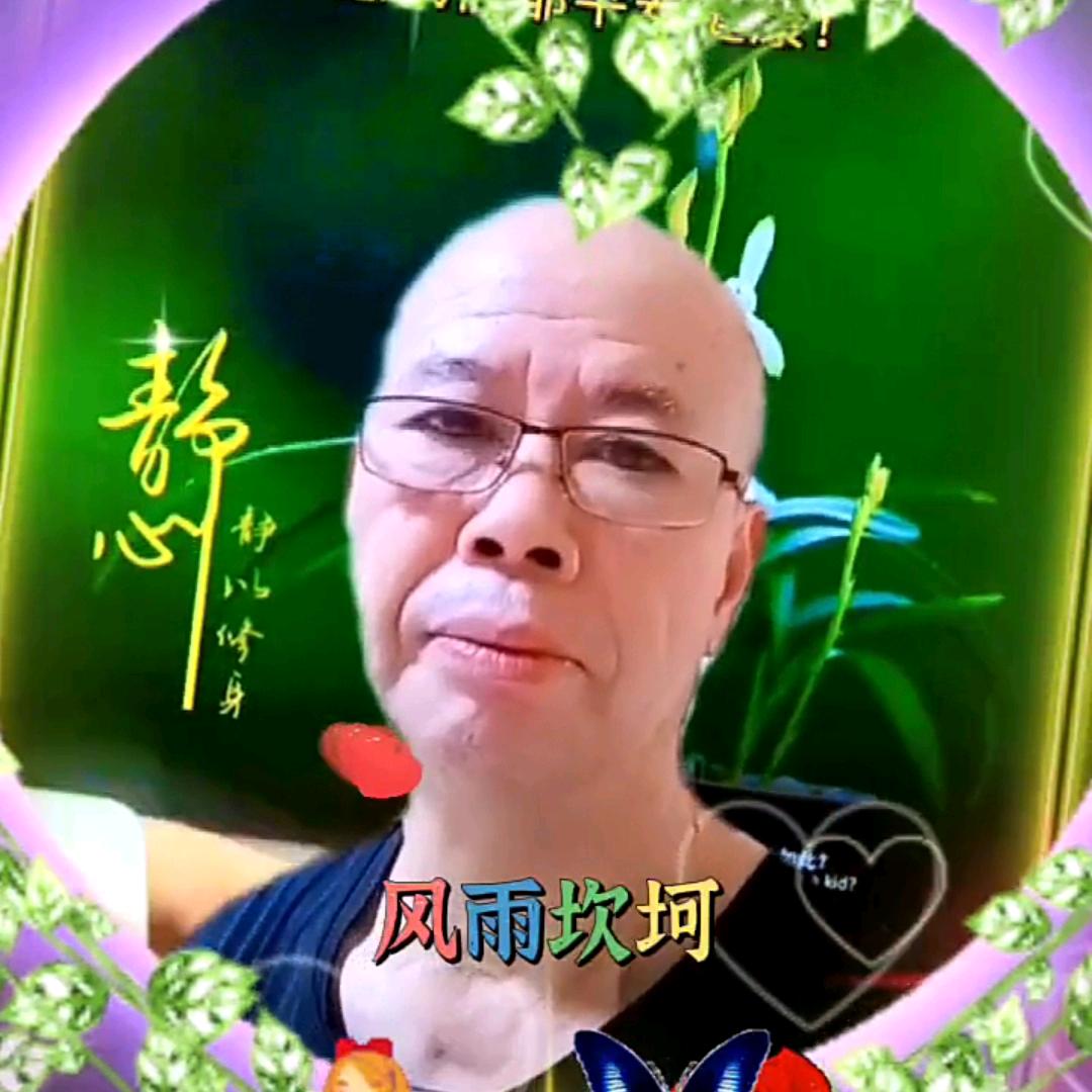 老槐树