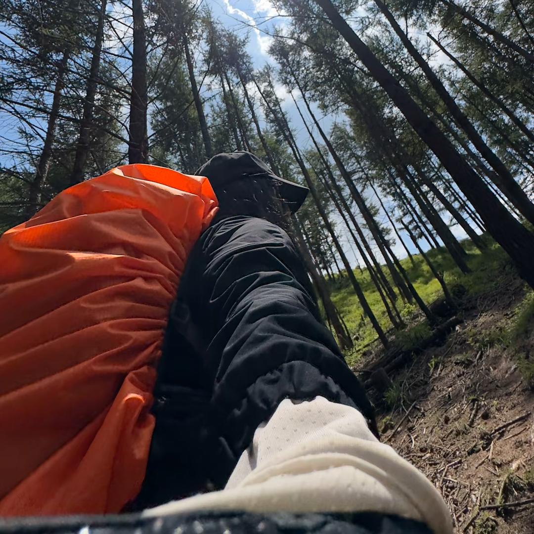 苏（｡ò ∀ ó｡）