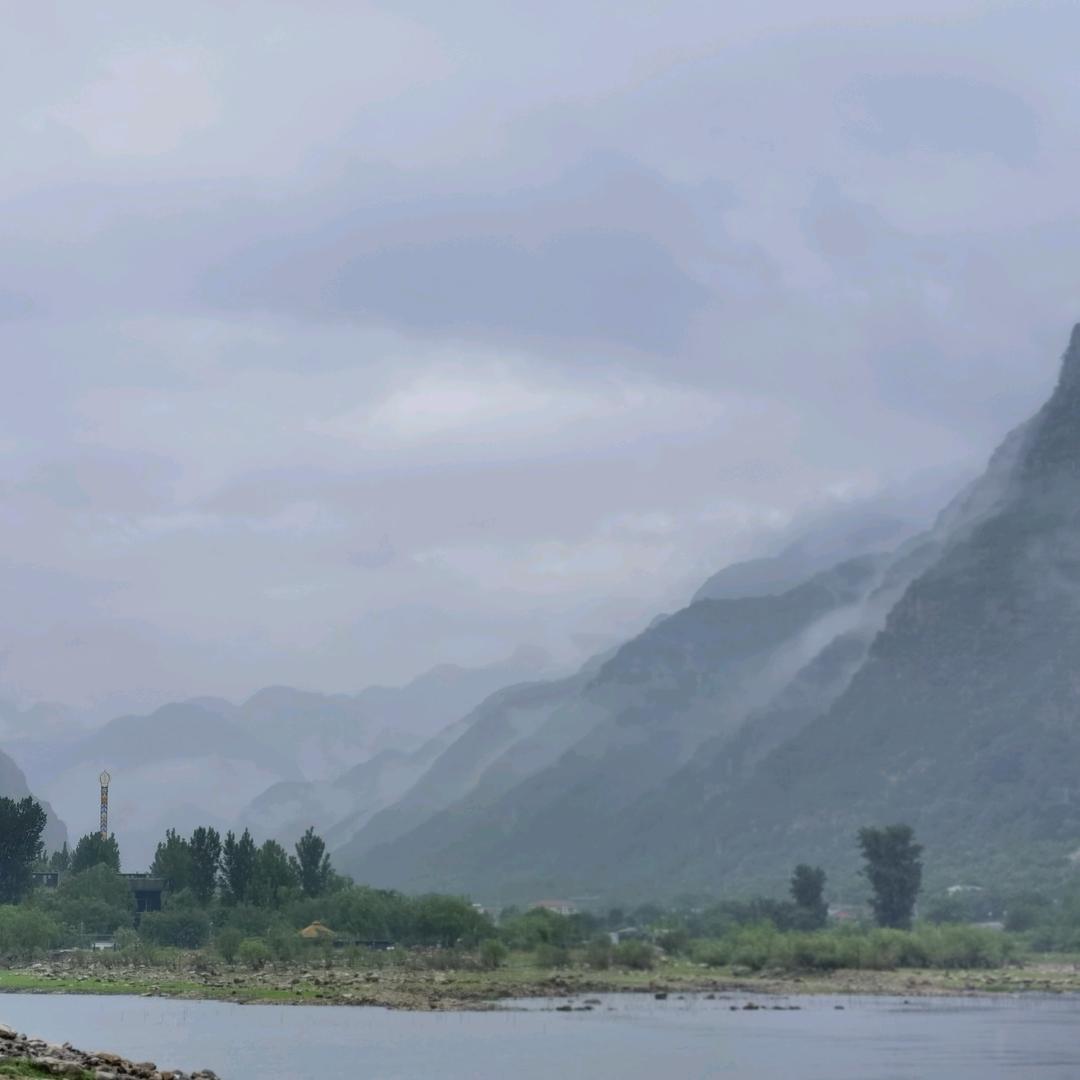 小毒虫🐛🐛🐛