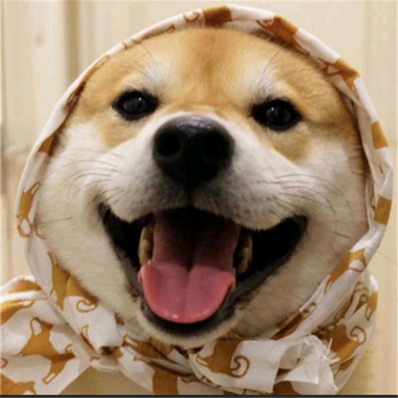 打工人
