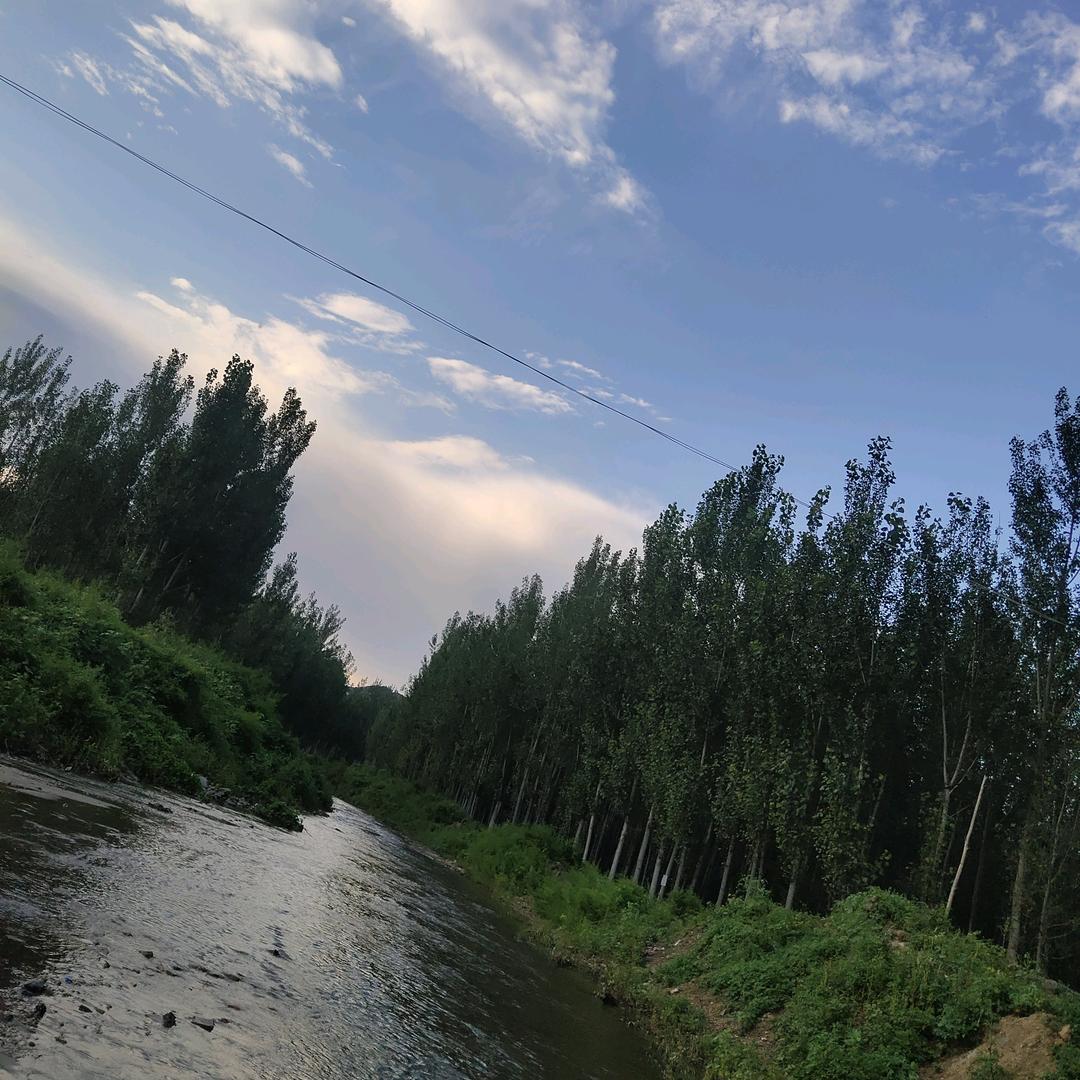 你这么说我良心呢