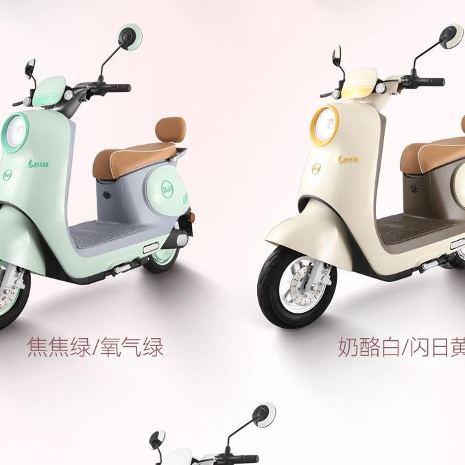 五星钻豹电动车(姚桥店)