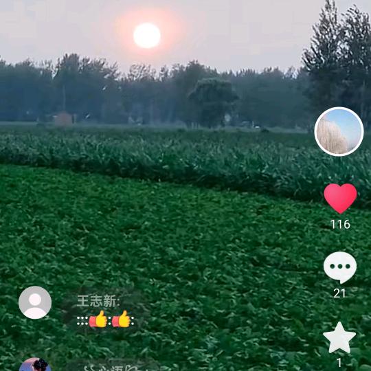 风华正茂