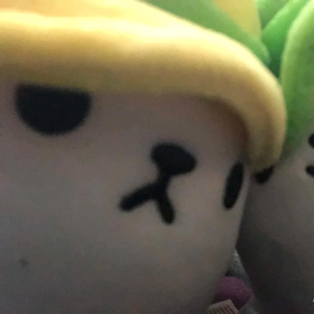 谓之茉莉