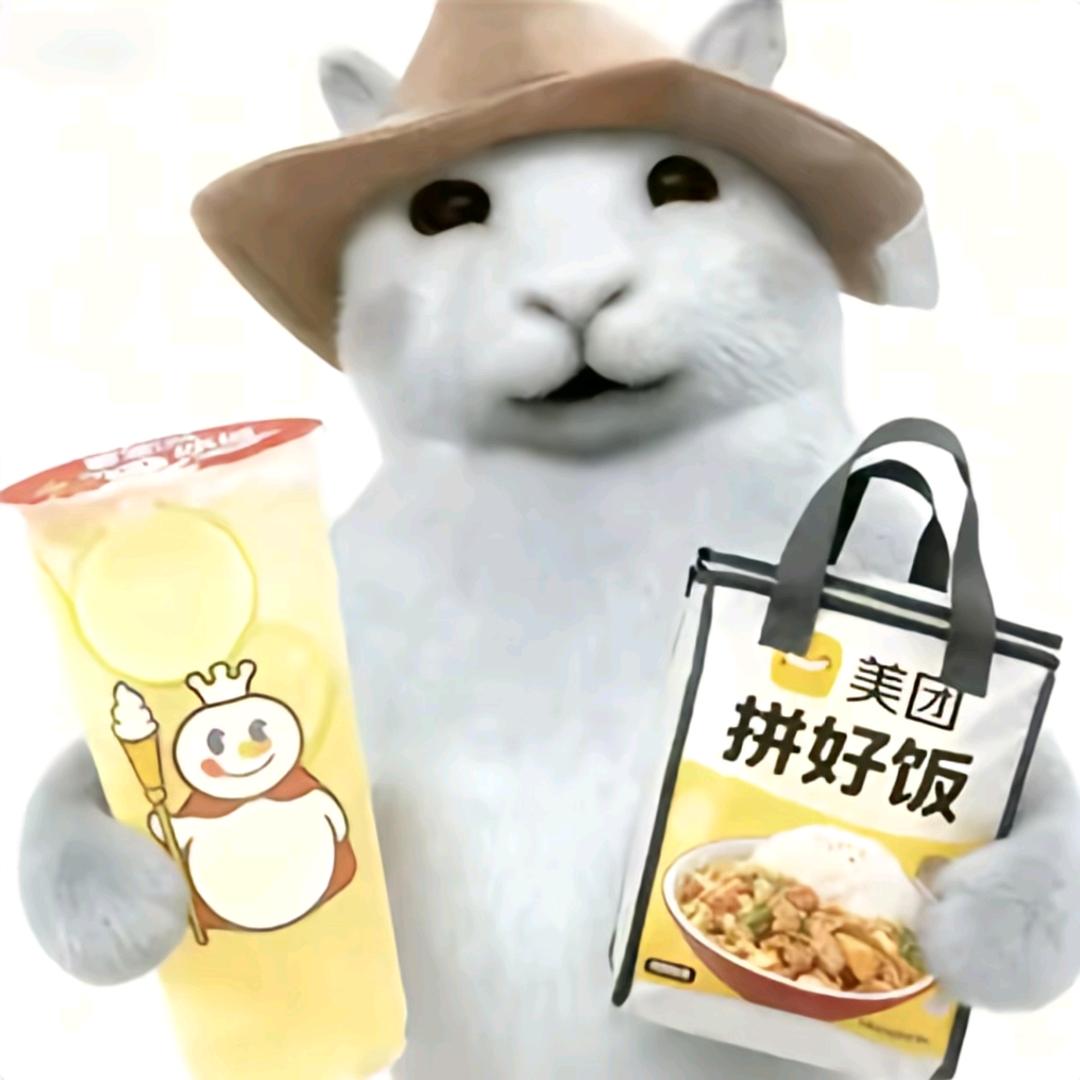 巴黎的驴
