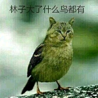 子毅