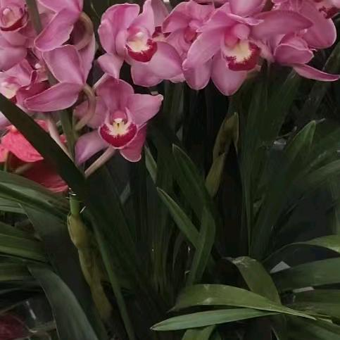 一米阳光