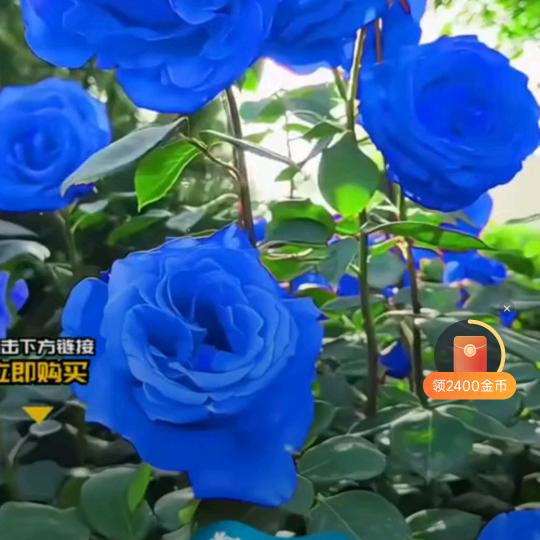 风雨同舟