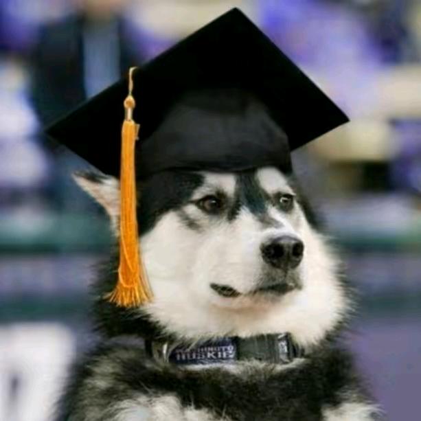 想当厨子的小法师