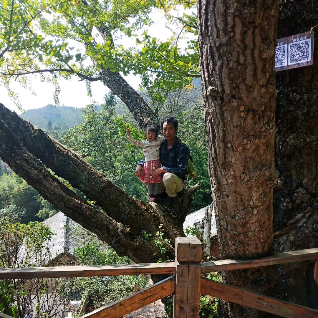 拾仟（专业家装贴瓷砖）