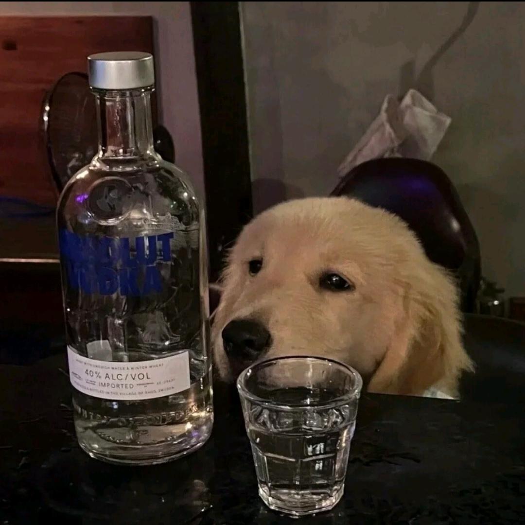 7号唱片.