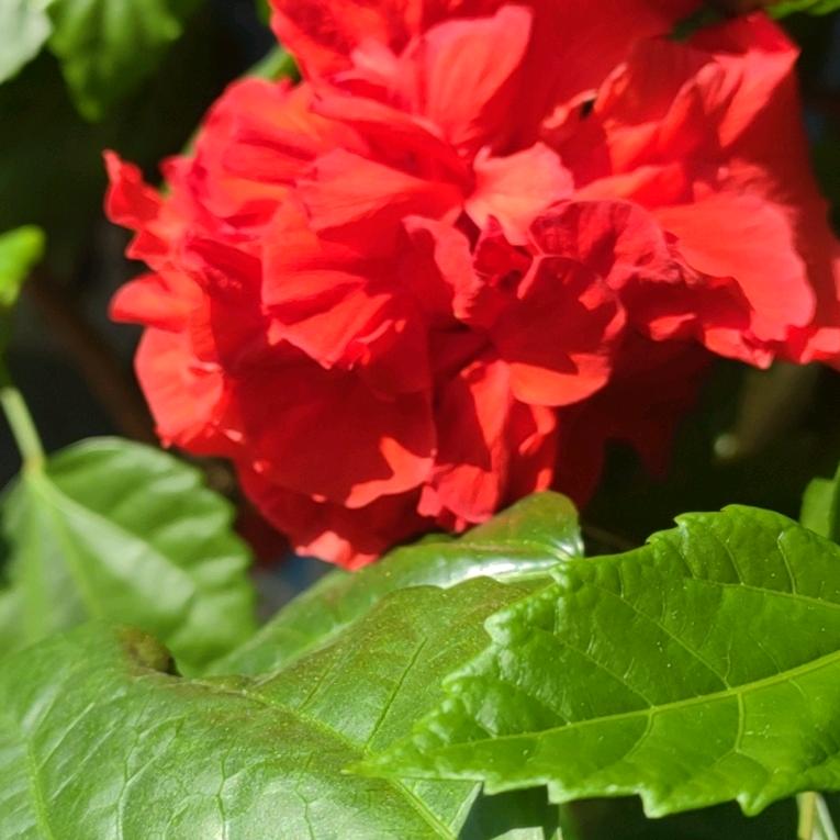 中年人是游戏专家