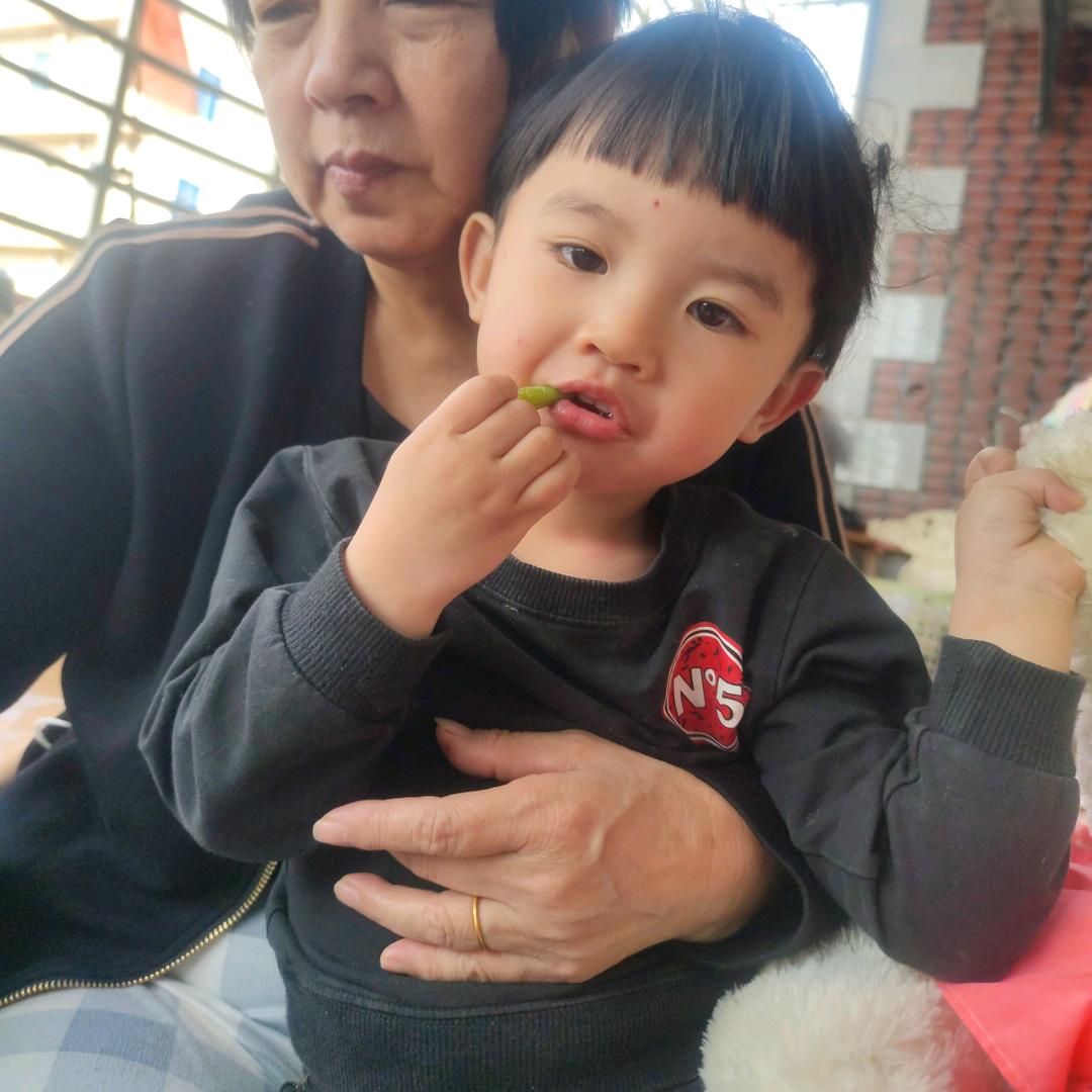 你好好好