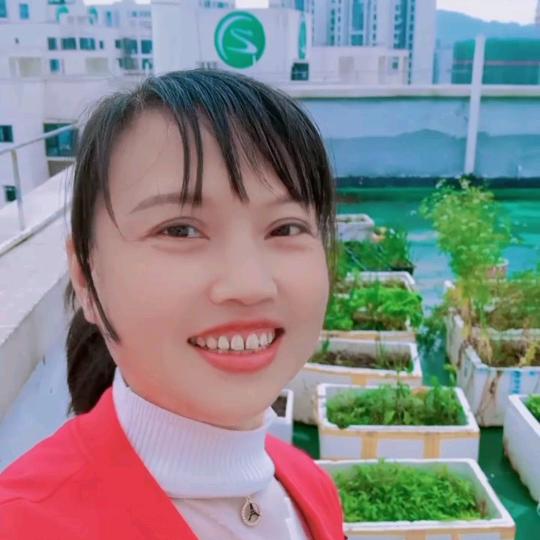 陈三姐
