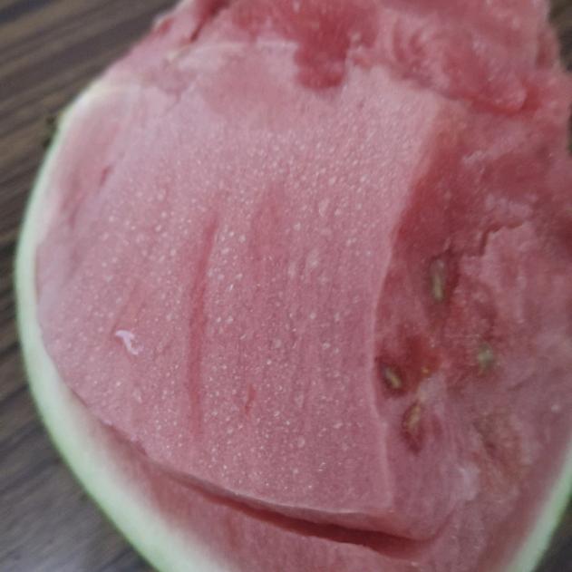 西瓜贝贝