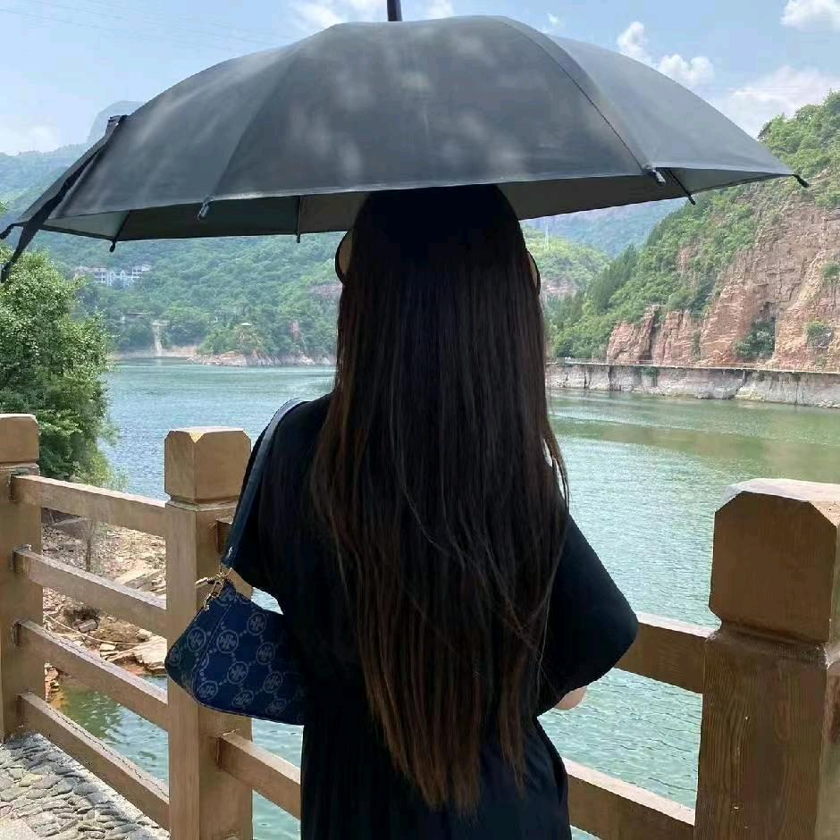职场女强人