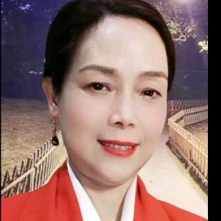 上海林姐