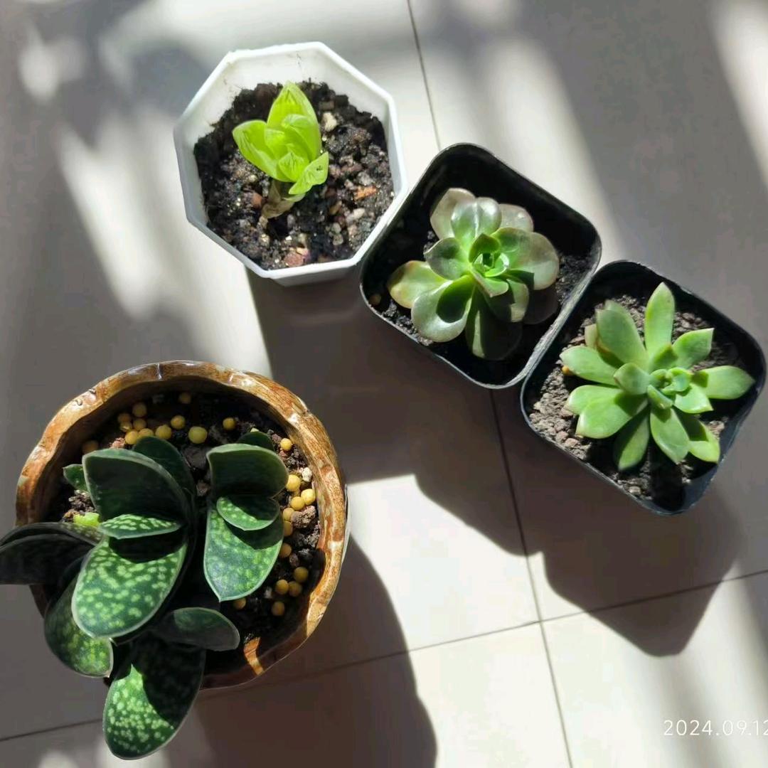 海伦市第三中学