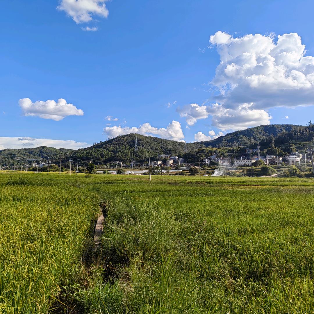 默离
