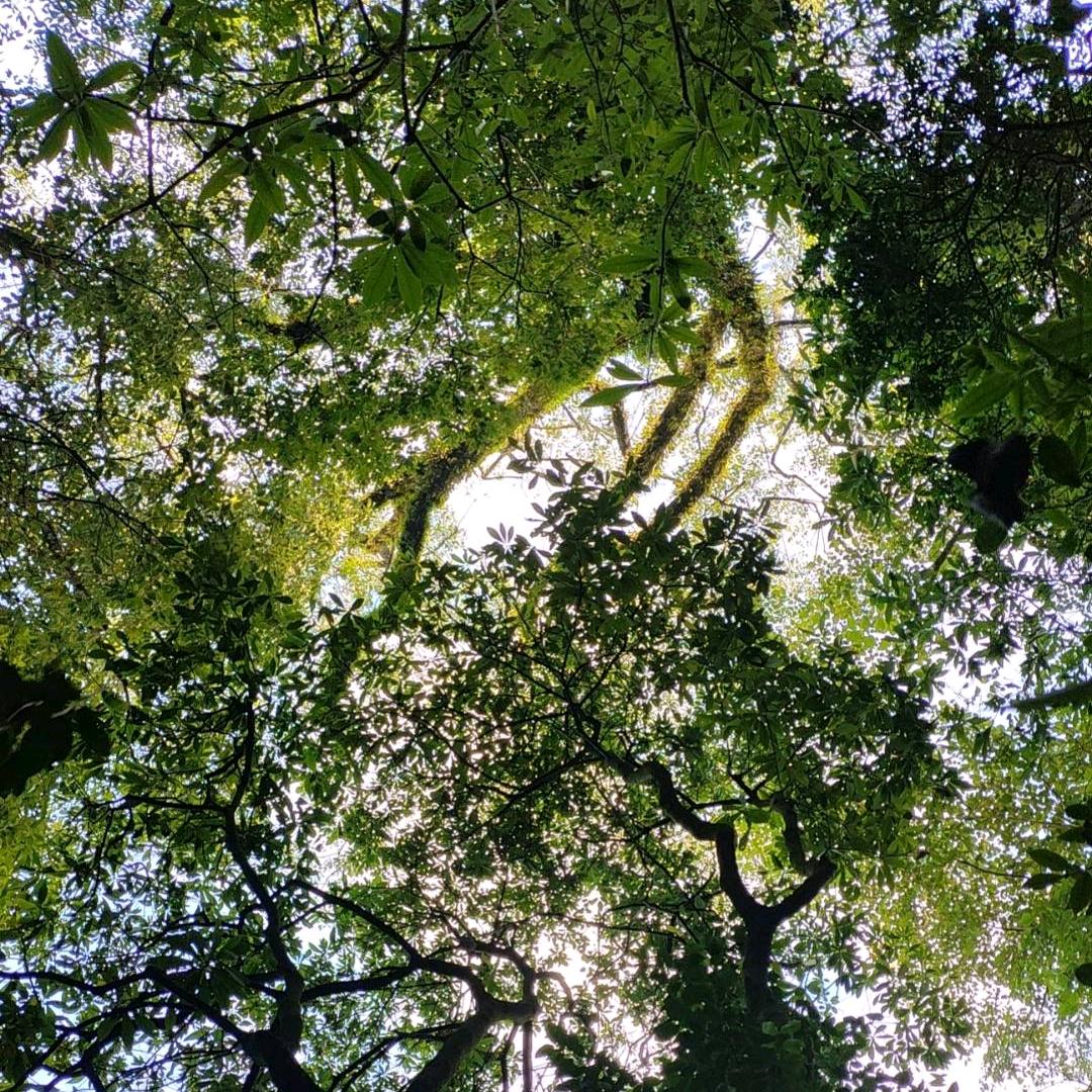 时光捕捉者～永乐