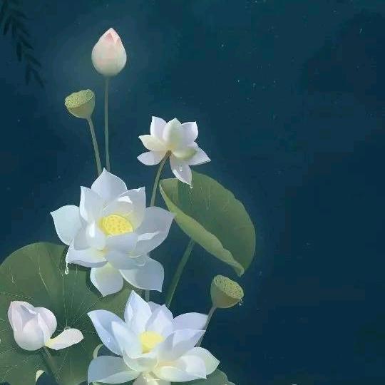 莲尘