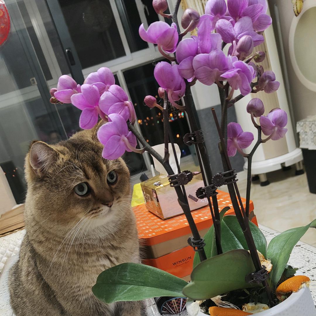 ℳℒℴѵℯ·倩ོꦿృ༊