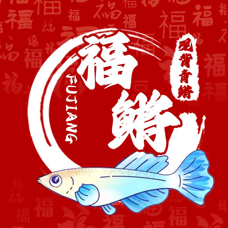 福鳉观背青鳉鱼