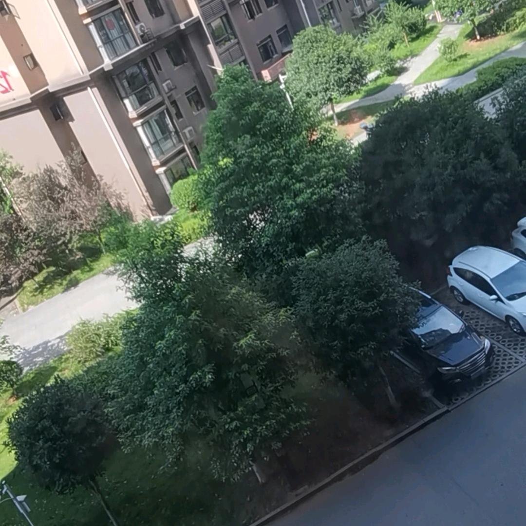 林华小江