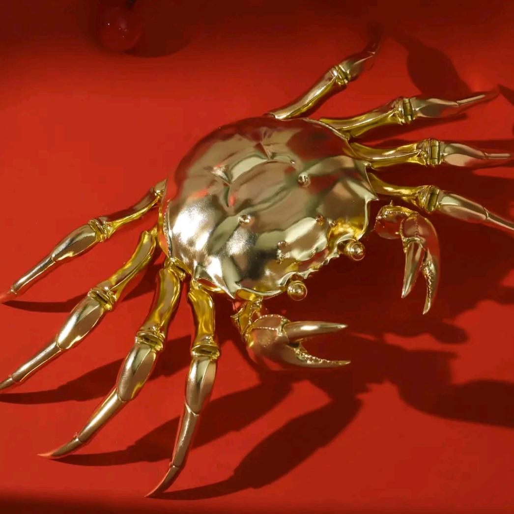 专注蟹🦀🦀