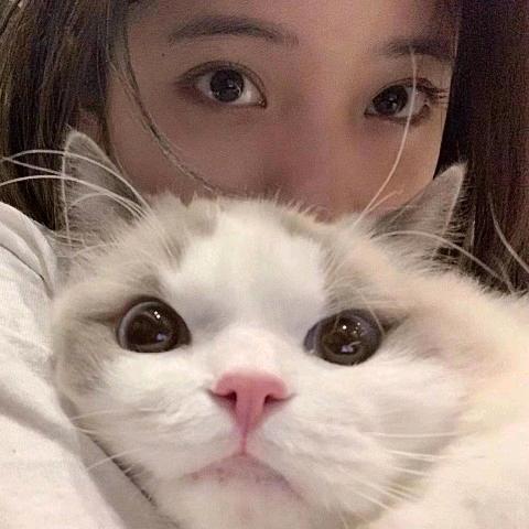 酒酿小丸子