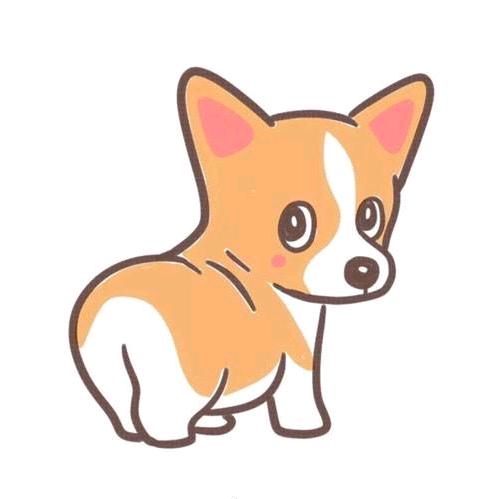 篮球解说道哥