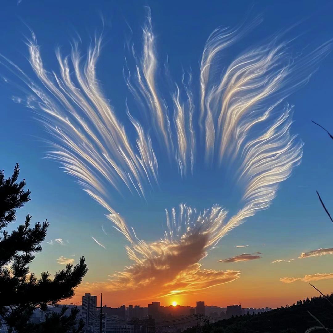 小船