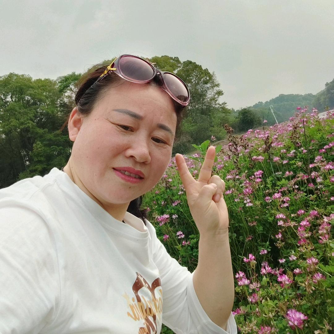 风雨过后的彩虹