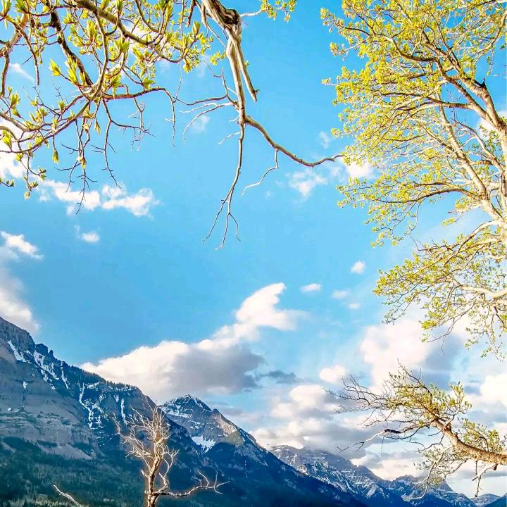 悠然见南山