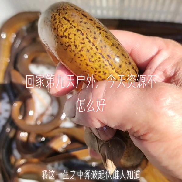 机车男户外