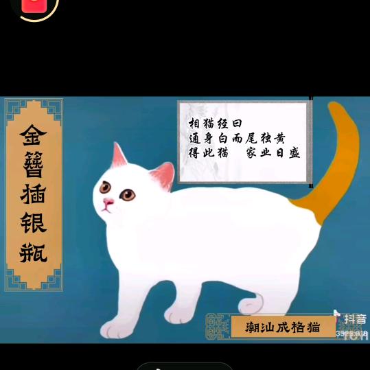 善云（棉湖吉祥做桌）