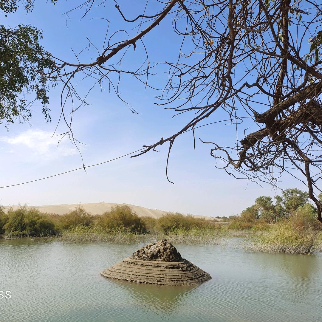 旺仔刘奶tang🍭