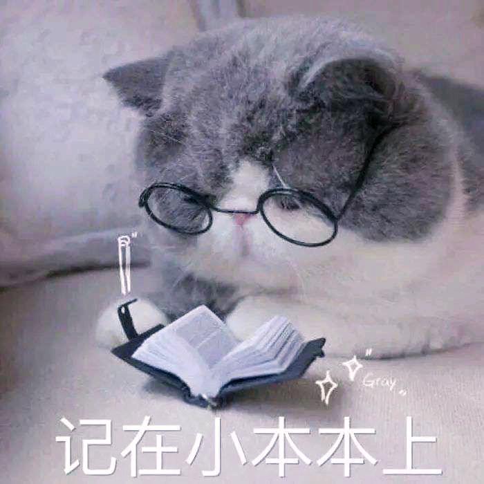 小九推荐官