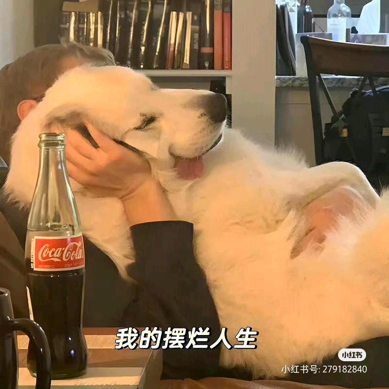 九安