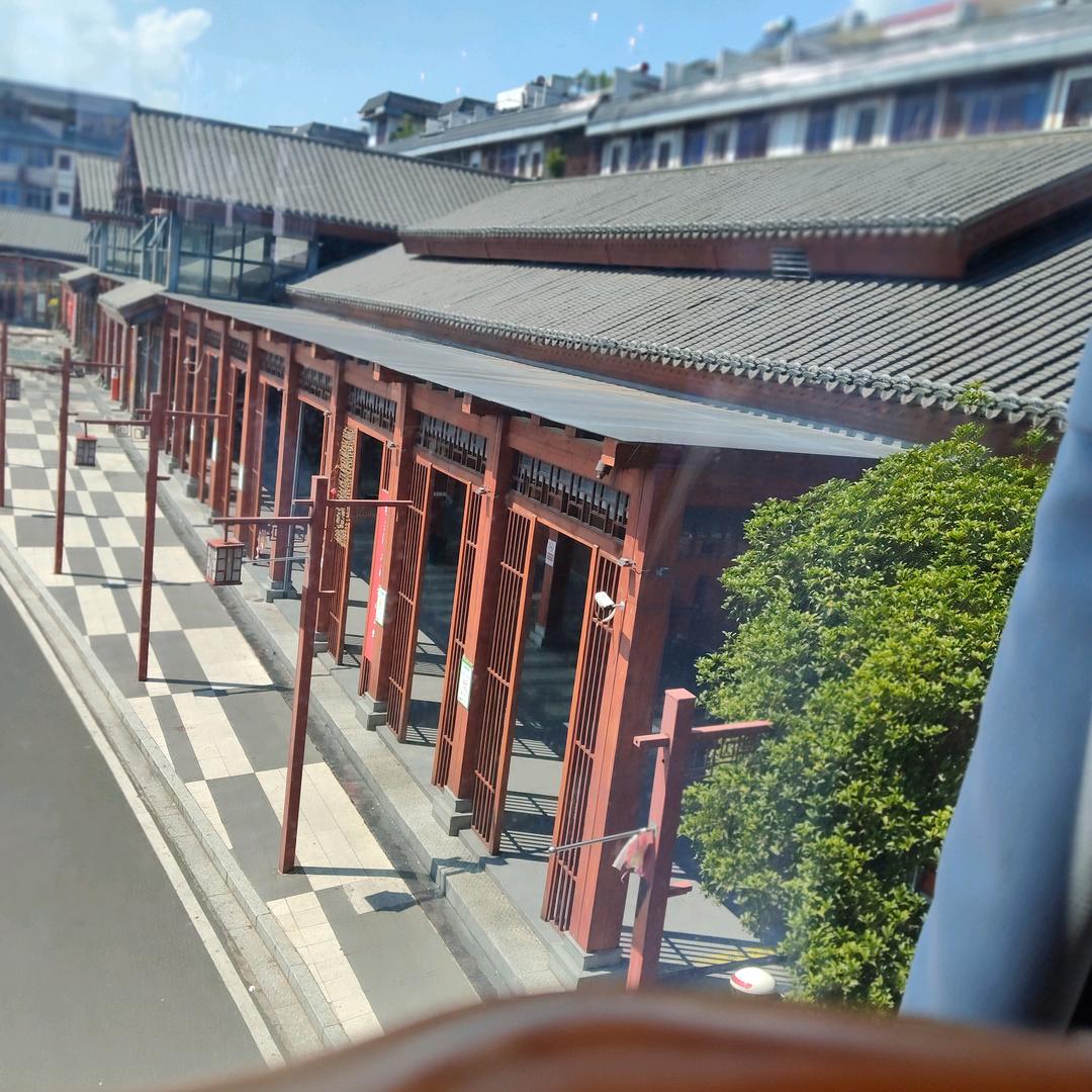 月月兔子
