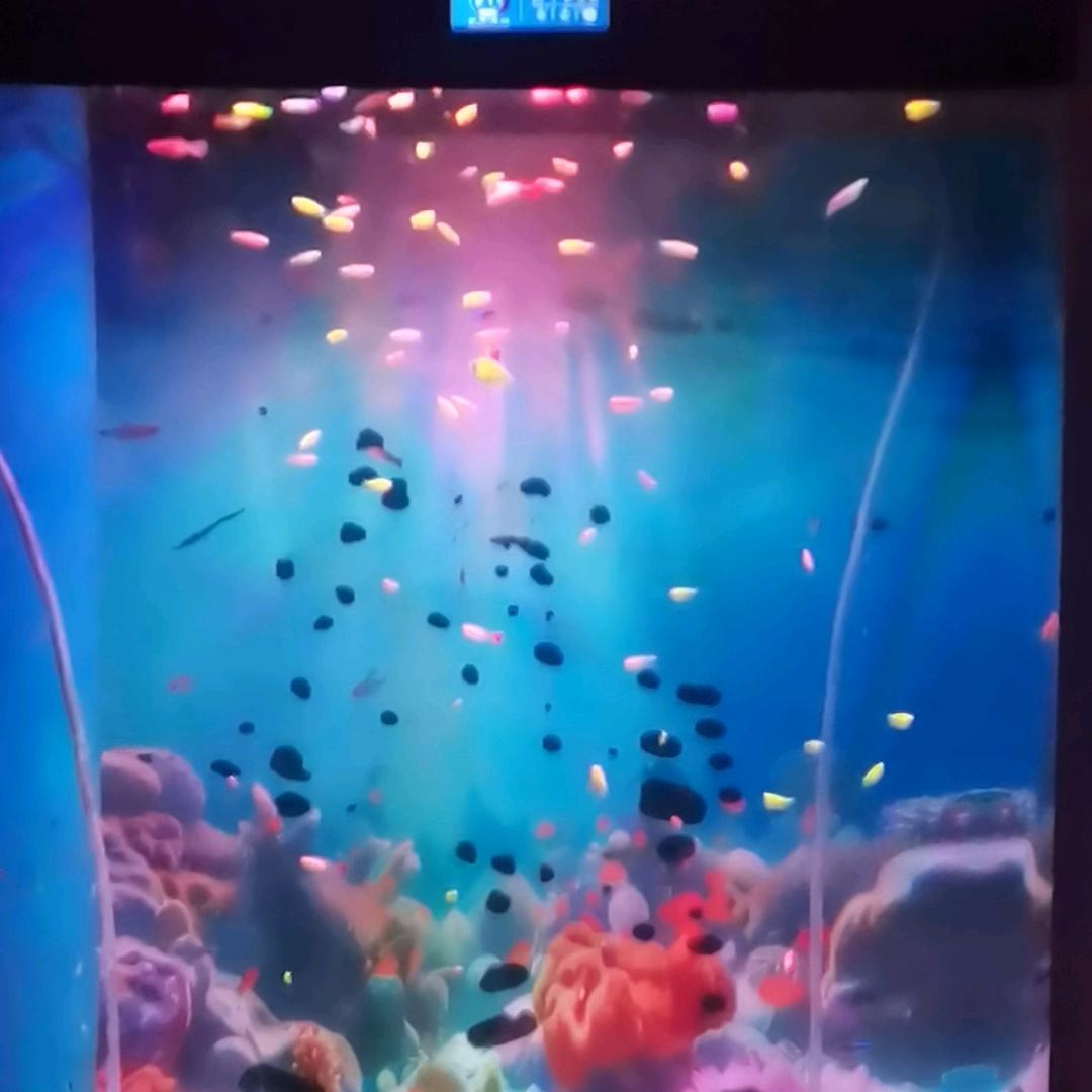 🔥蹬蹬蹬蹬蹬