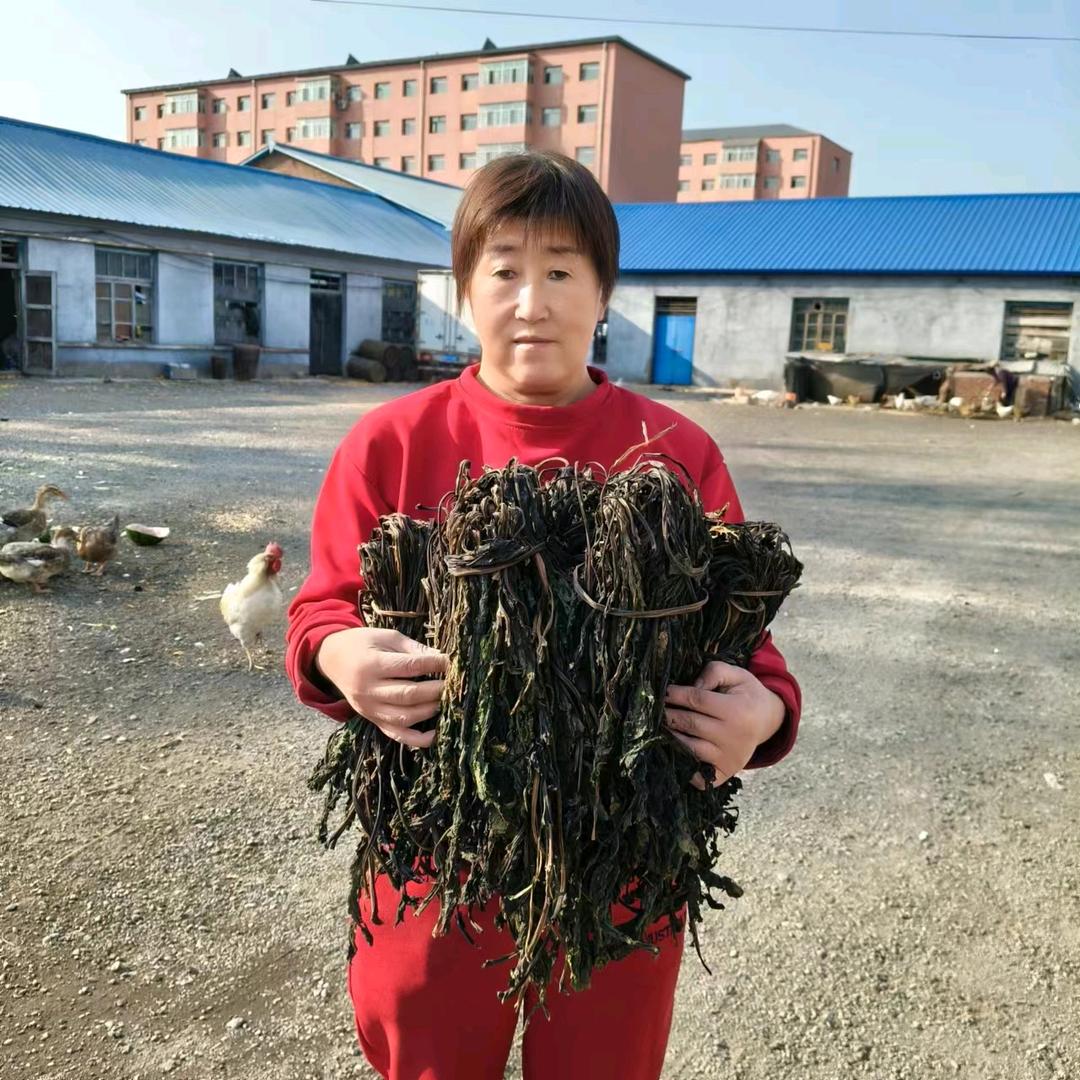 林姐记录生活