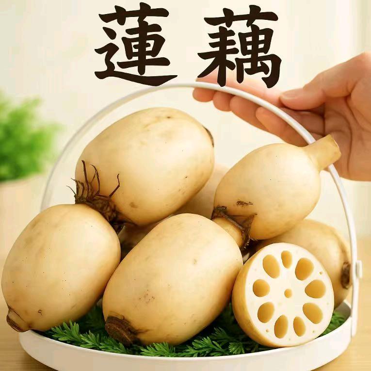 豪展农场