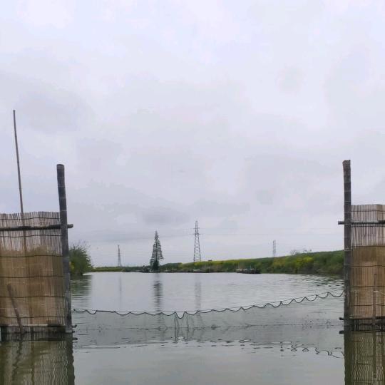 兴化大袁休闲混养河