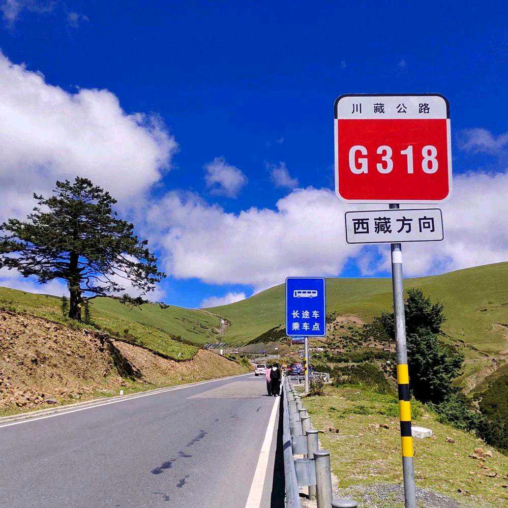 伴风望海