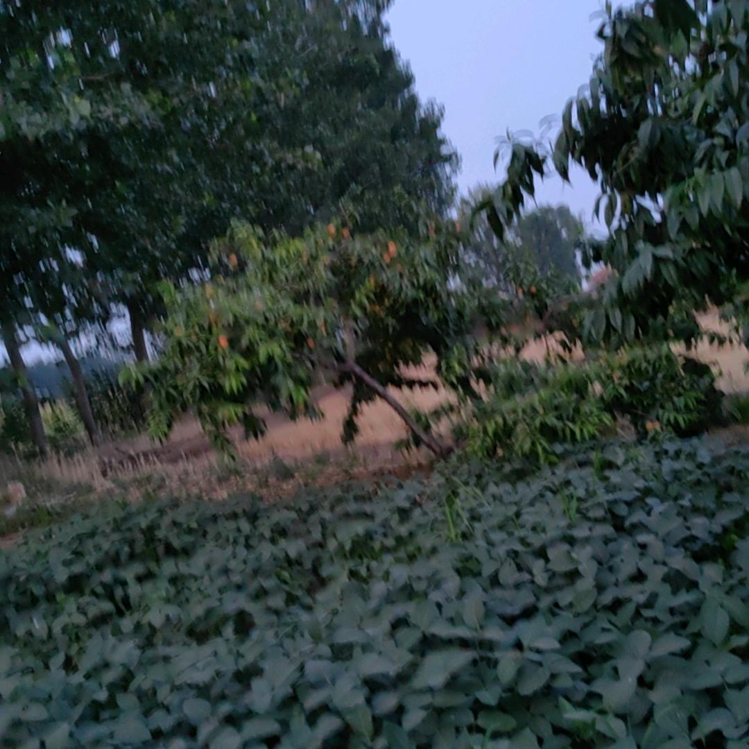 幸福家园