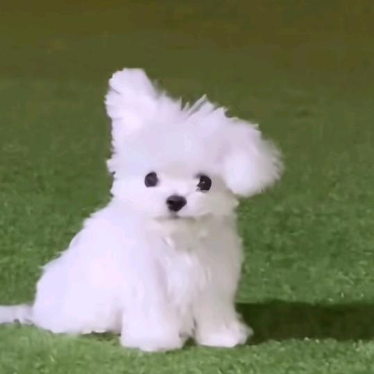 影影绰绰